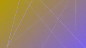 Cover article 11